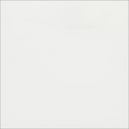 Панель EVOSOFT EVS006 18мм 2800*1220 Серебряный сплав (аналог 3012 AGT)